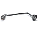 SOXHO003_b