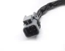 42349_c