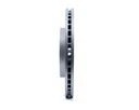 RDS2587_c
