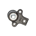 Rótula - vista 1