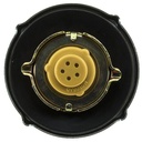 MGC818 4