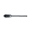 218388 2
