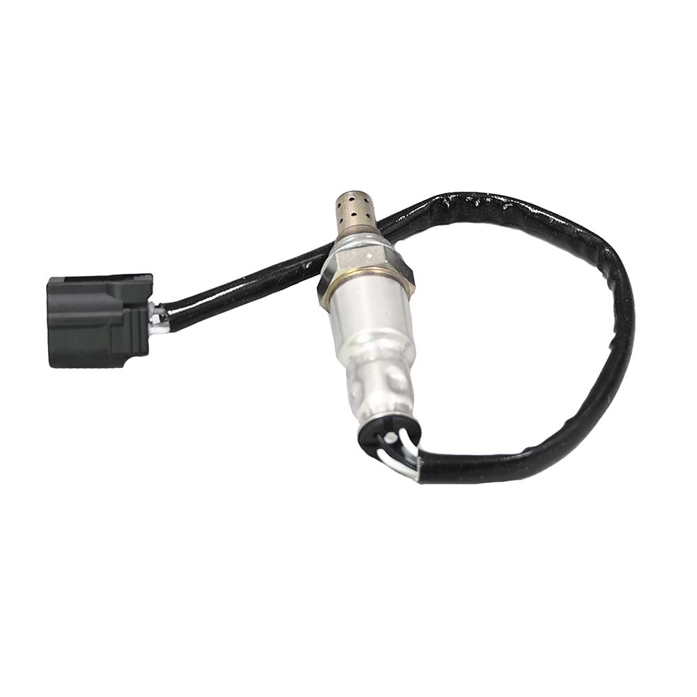11776_3.jpg
