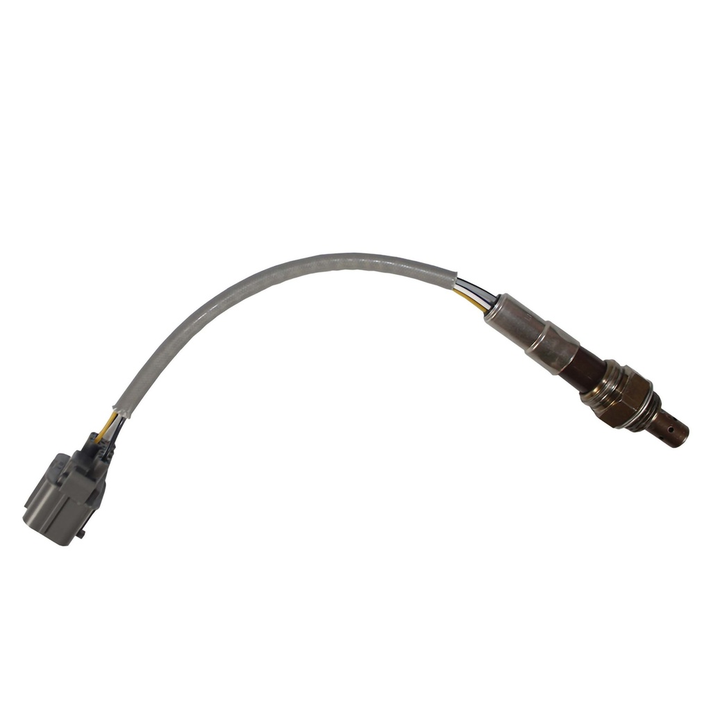 11997_2.jpg