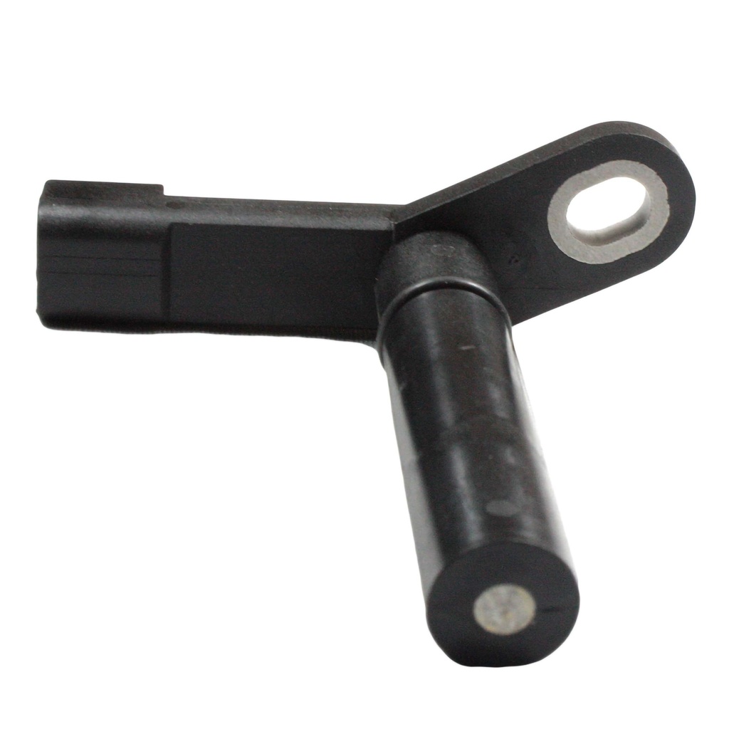 22009_2.jpg