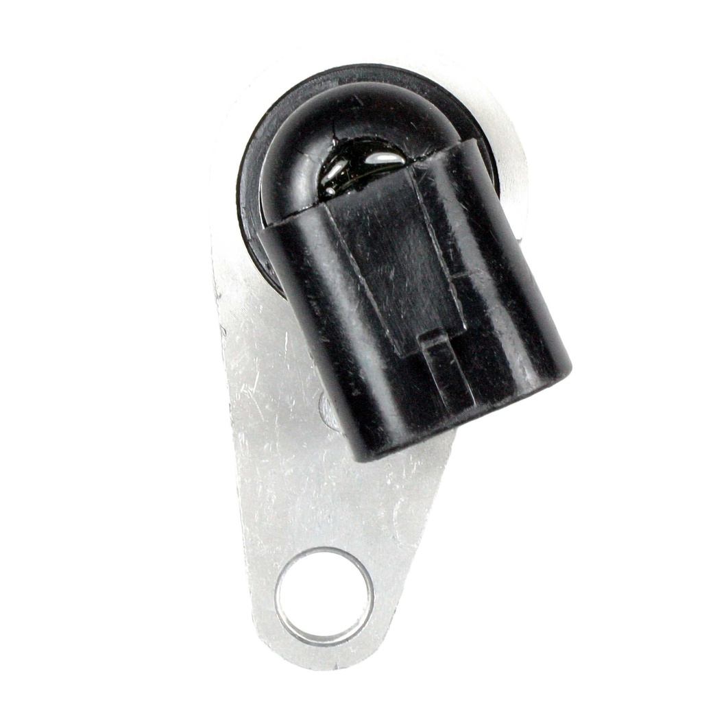 22015_1.jpg