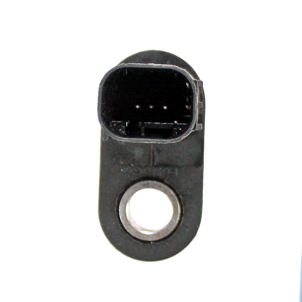 22372_2.jpg