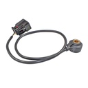 29234_2.jpg