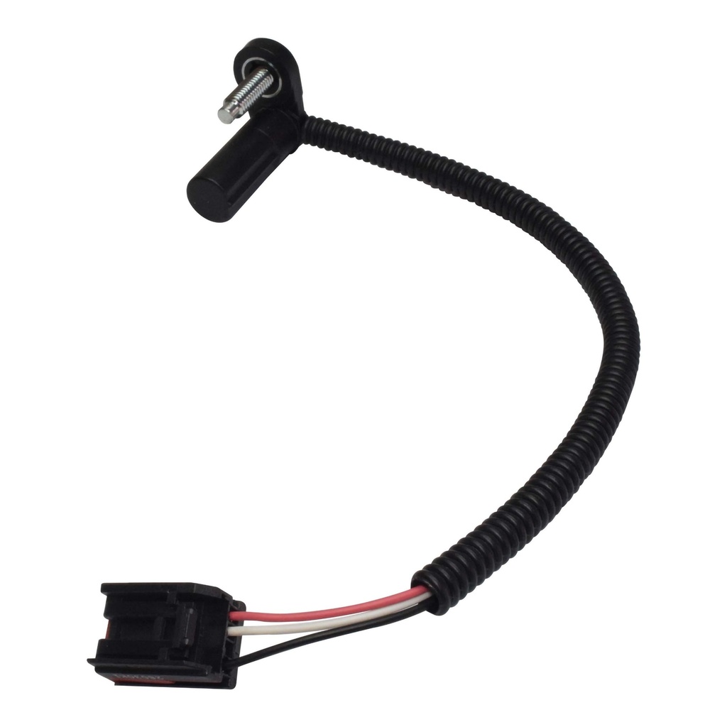 31156_1.jpg