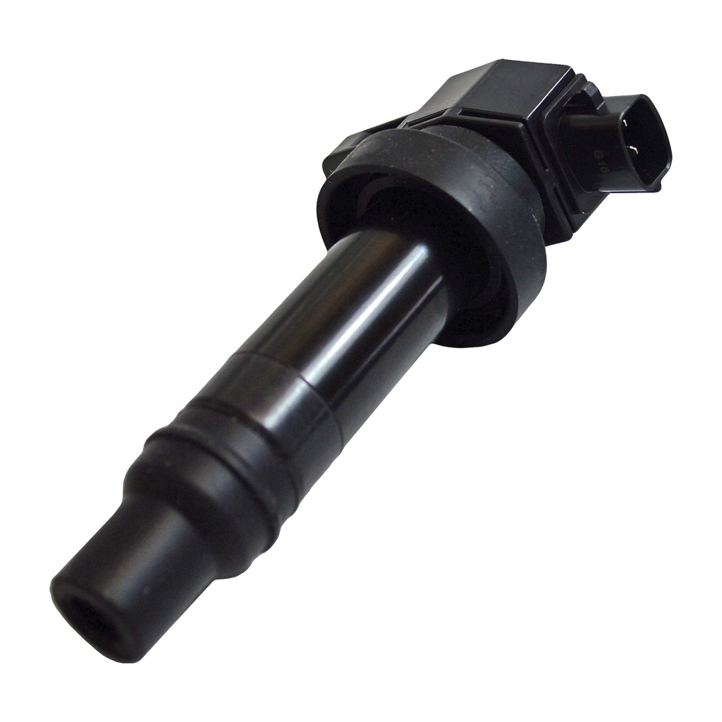 IC-110_1.jpg
