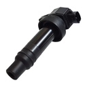 IC-110_1.jpg