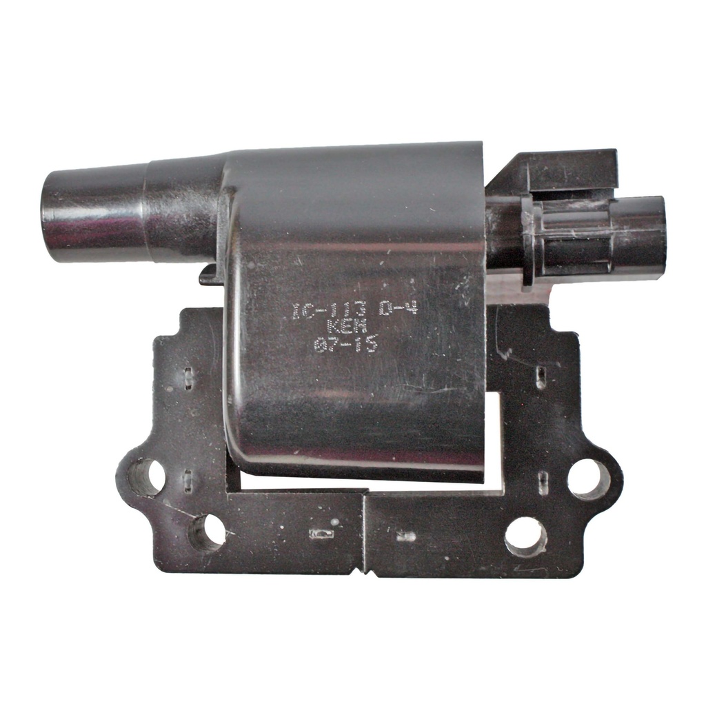 IC-113_2.jpg