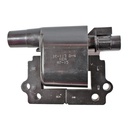 IC-113_2.jpg