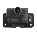 IC-1132_2.jpg