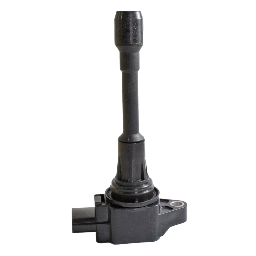 IC-1133_2.jpg