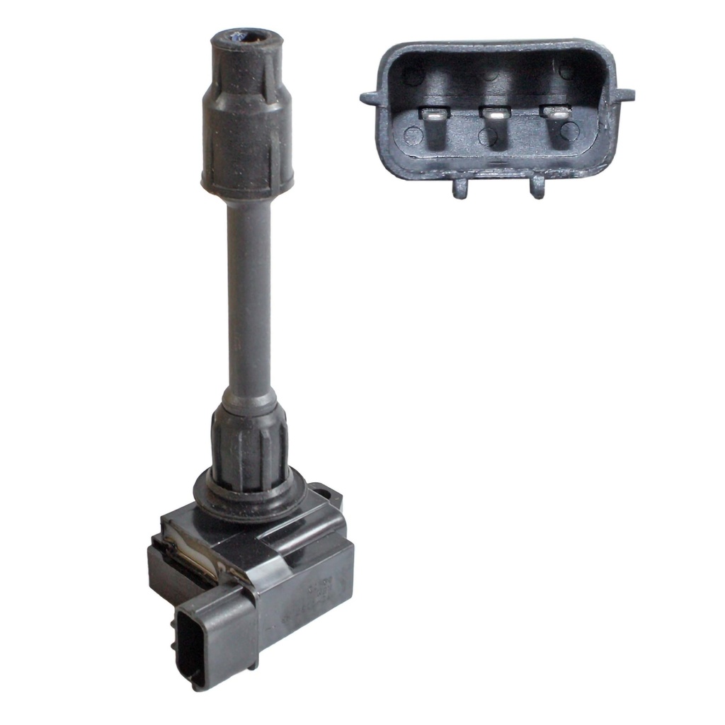 IC-1137_1.jpg