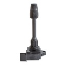 IC-1137_2.jpg