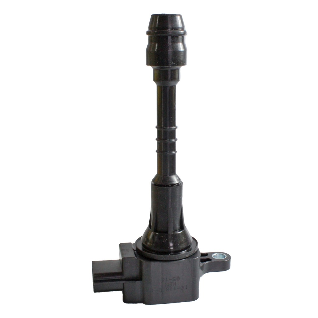 IC-118_2.jpg
