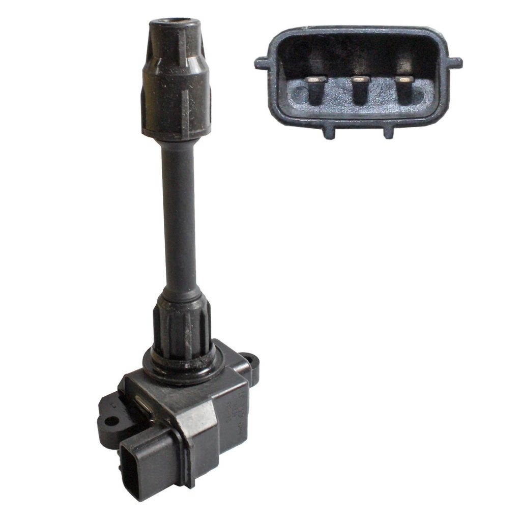 IC-119_2.jpg
