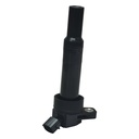 IC-1203_2.jpg