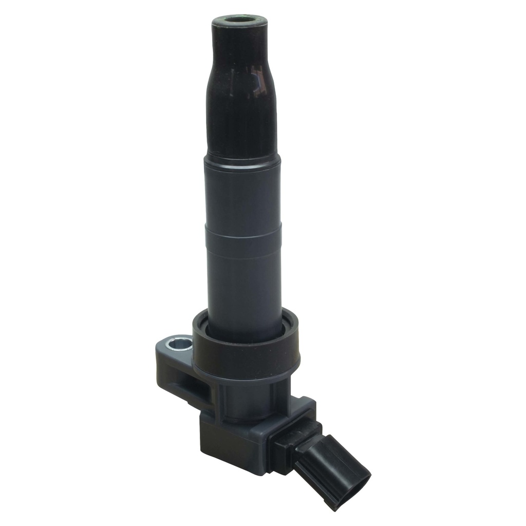 IC-1205_2.jpg