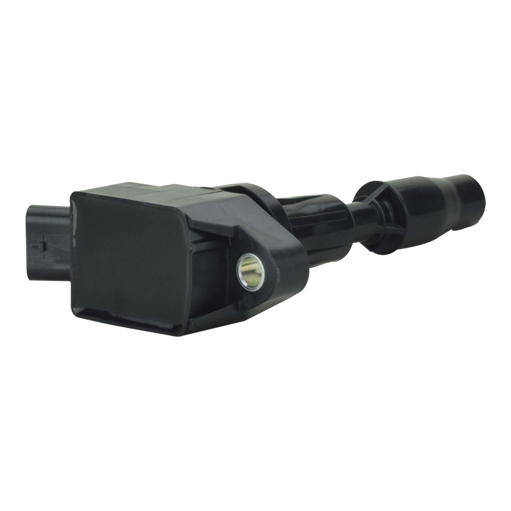 IC-1207_2.jpg
