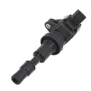 IC-1215_3.jpg