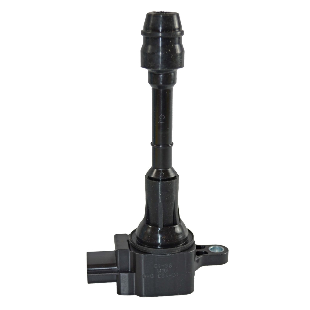 IC-123_2.jpg