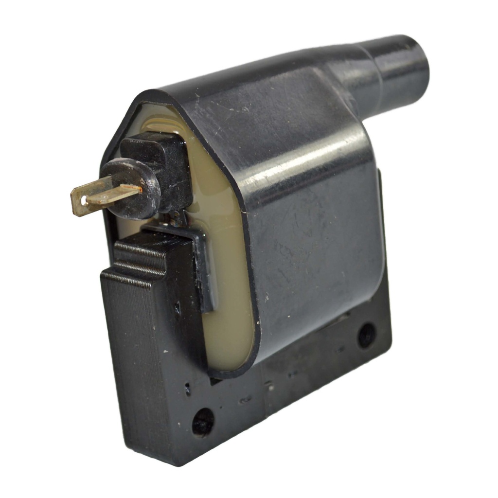IC-125_1.jpg