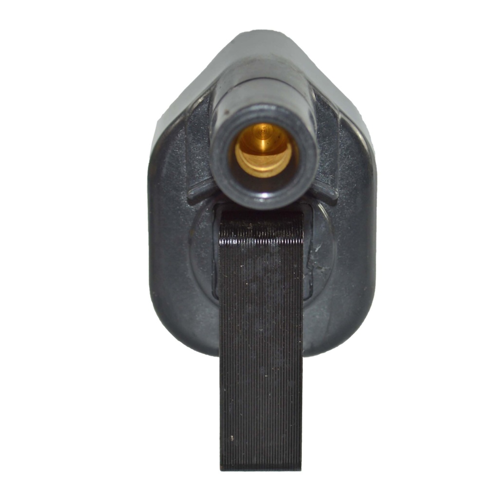 IC-125_2.jpg