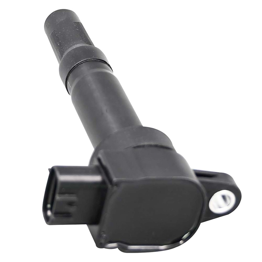 IC-1312_2.jpg