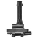 IC-1348_1.jpg
