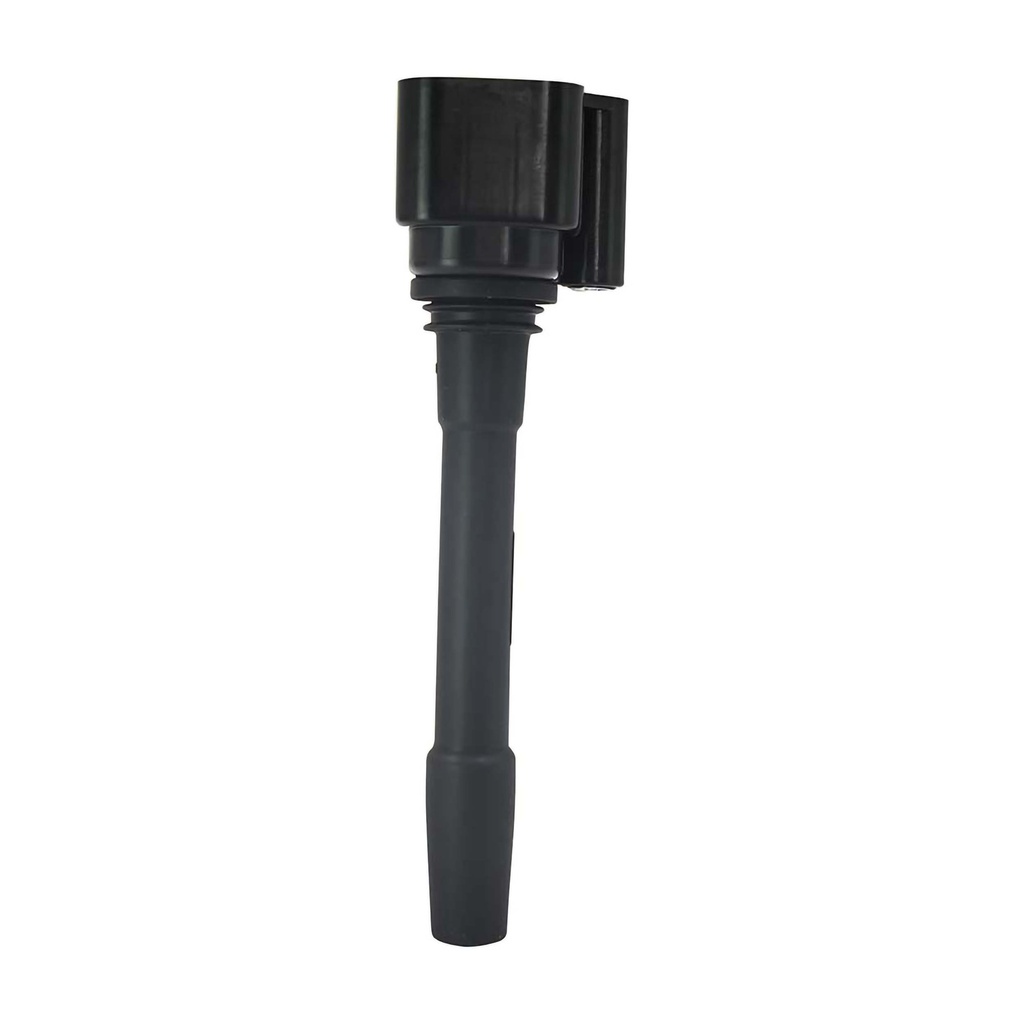 IC-136_1.jpg