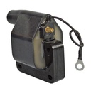 IC-193_2.jpg