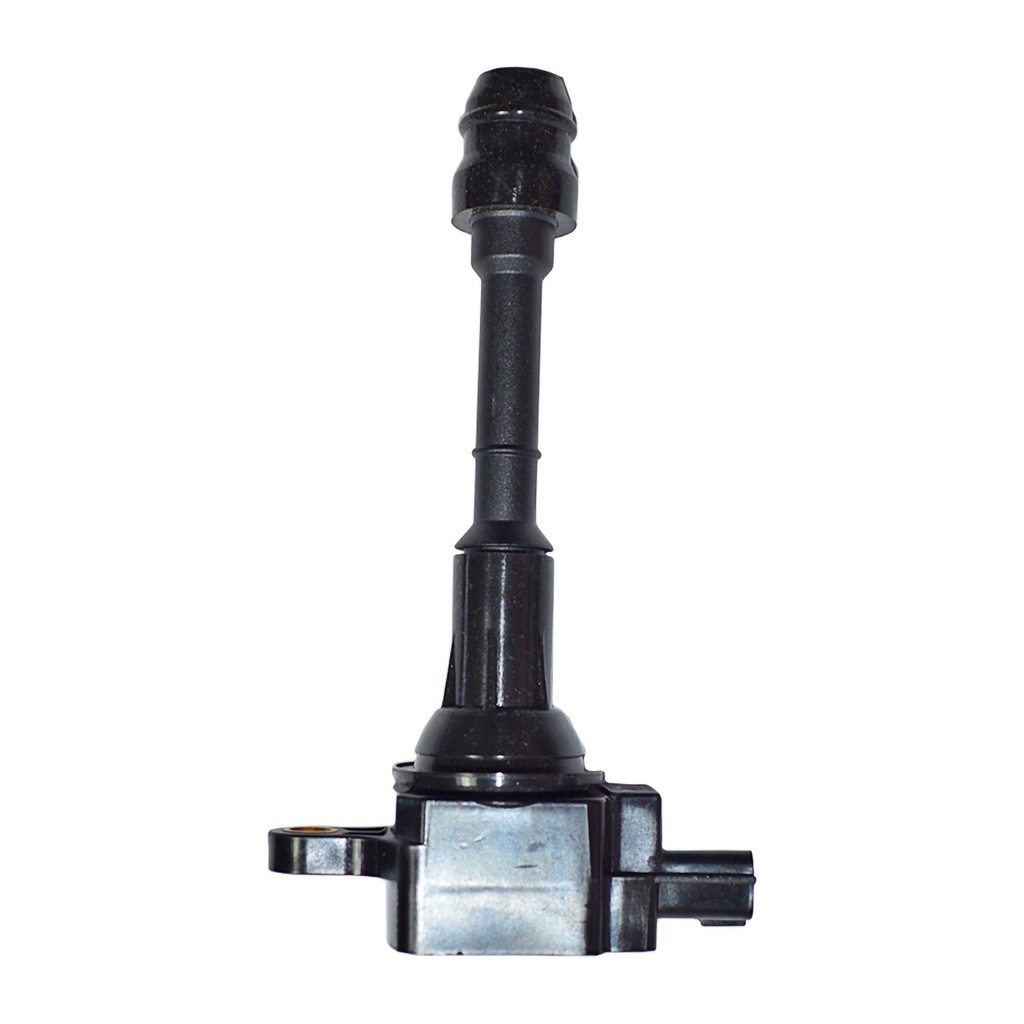 IC-203_1.jpg
