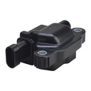 IC-208_1.jpg