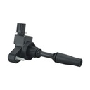 IC-210_1.jpg
