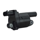 IC-211_1.jpg