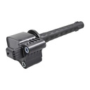 IC-218_2.jpg