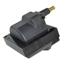 IC-29_2.jpg