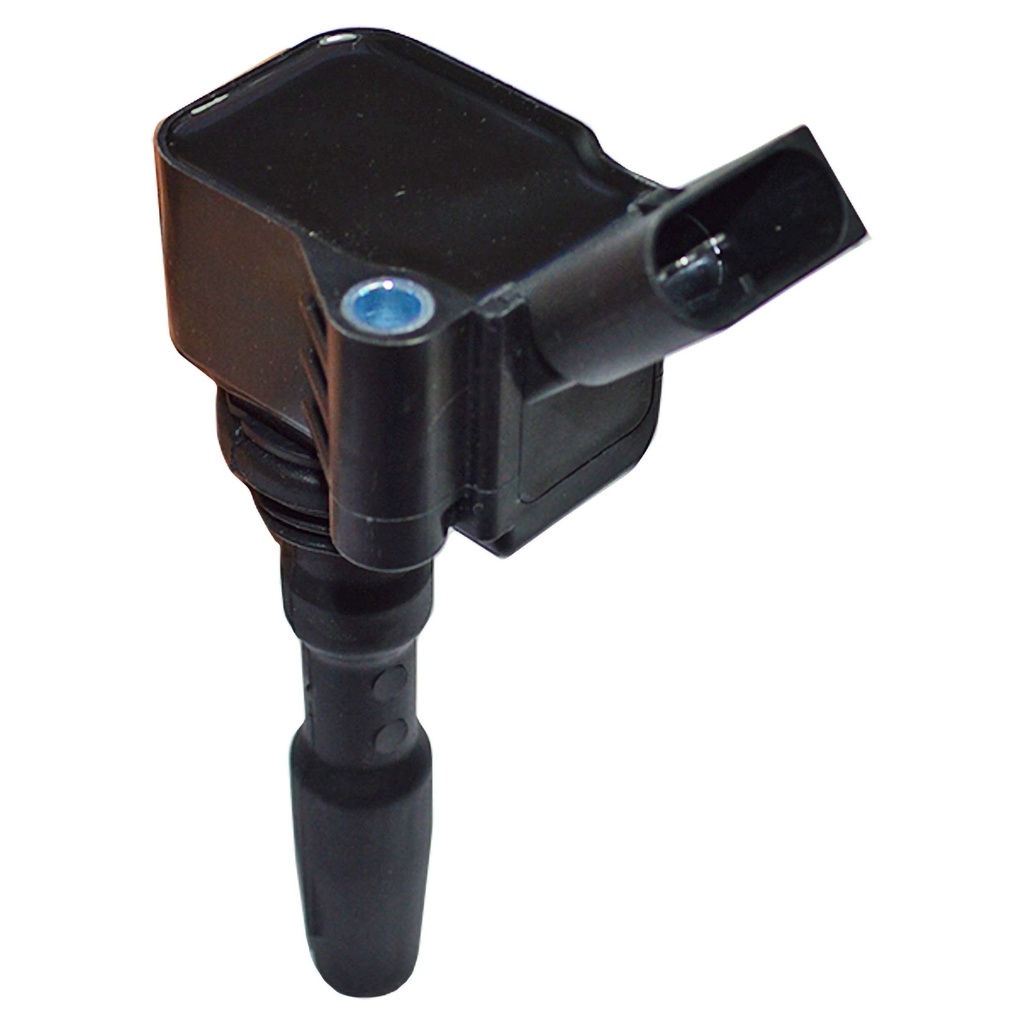 IC-301_2.jpg