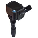 IC-301_2.jpg
