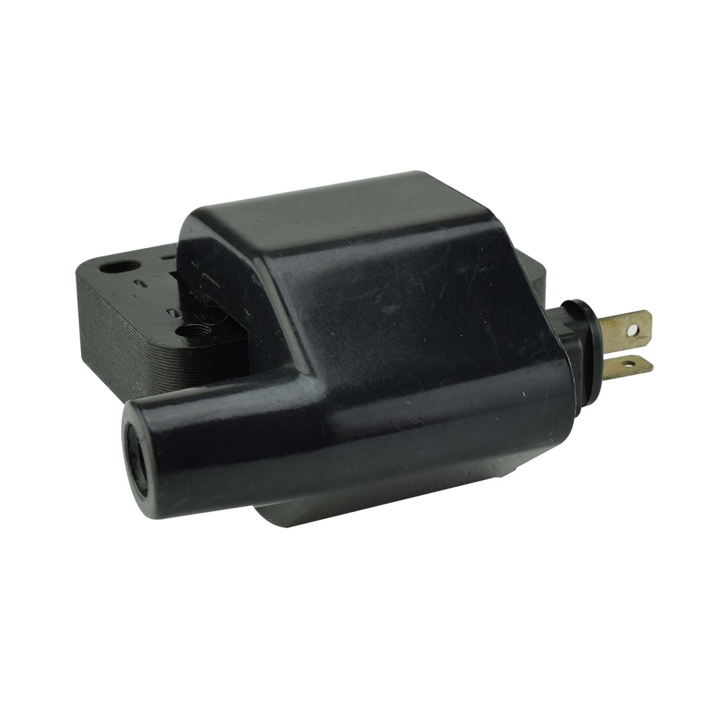 IC-33_1.jpg