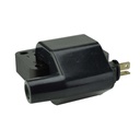 IC-33_1.jpg