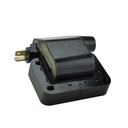 IC-33_2.jpg