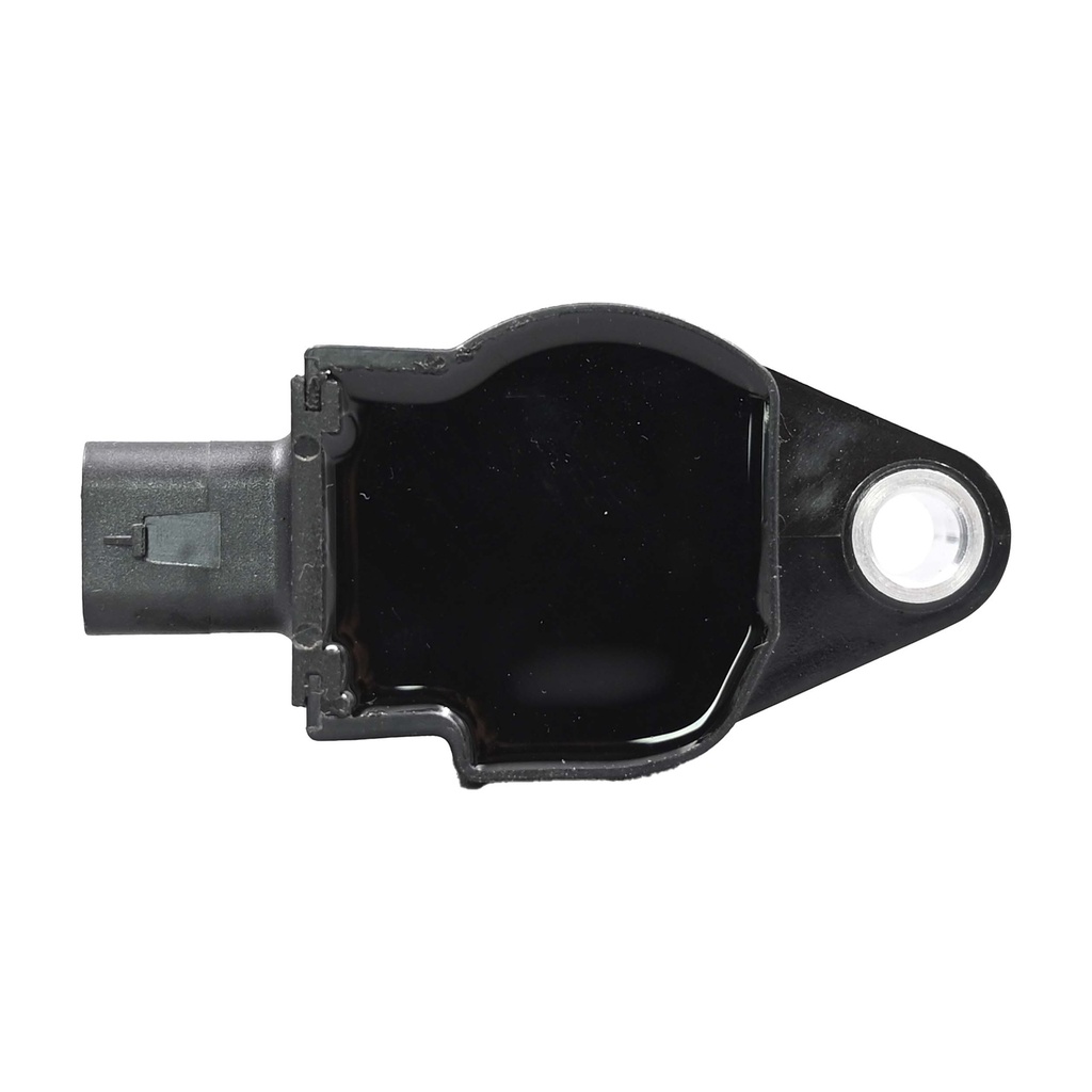 IC-421_2.jpg