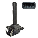 IC-55_1.jpg