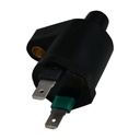 ICM-10_1.jpg