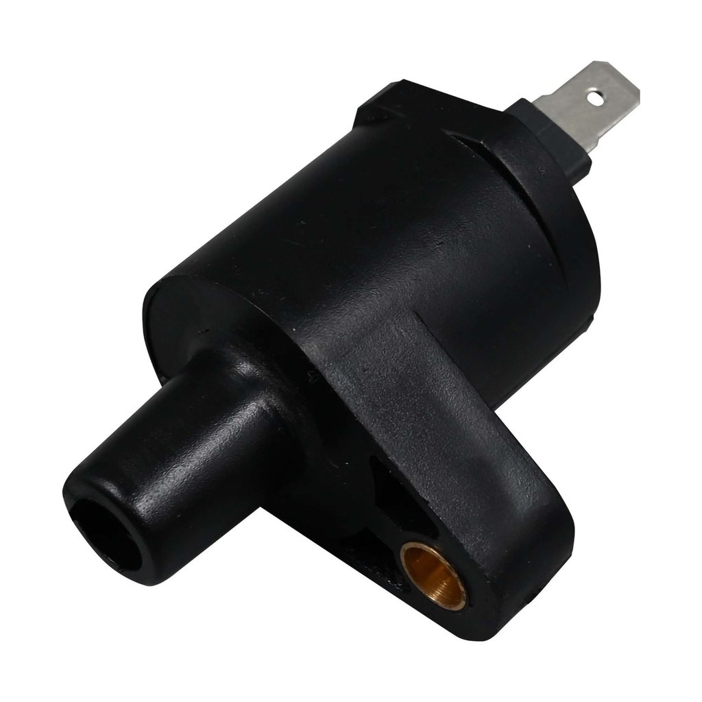 ICM-10_2.jpg