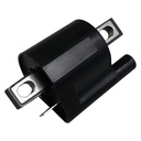 ICM-11_2.jpg